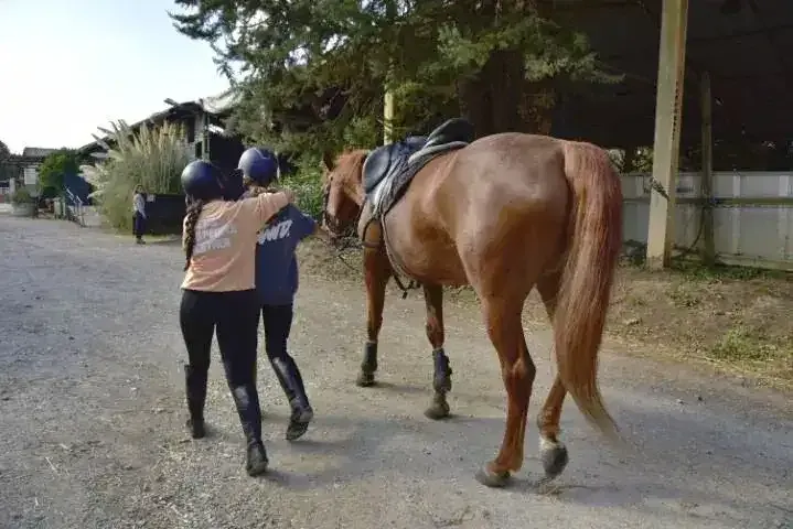 Dos alumnas llevan un caballo por el camino de AV Sport Horses